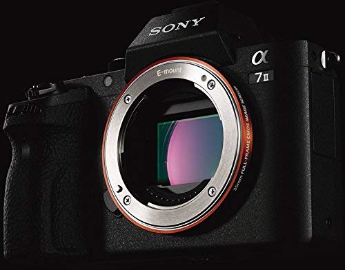 Sony Alpha 7M2 - Fotocamera Digitale Mirrorless ad Obiettivi Intercambiabili, 24.3 MP, Stabilizzazione Integrata, ILCE7M2B, Nero