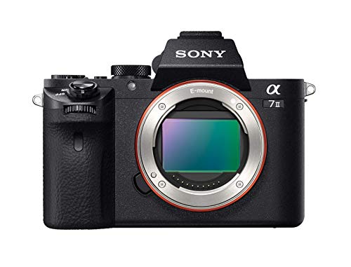 Sony Alpha 7M2 - Fotocamera Digitale Mirrorless ad Obiettivi Intercambiabili, 24.3 MP, Stabilizzazione Integrata, ILCE7M2B, Nero