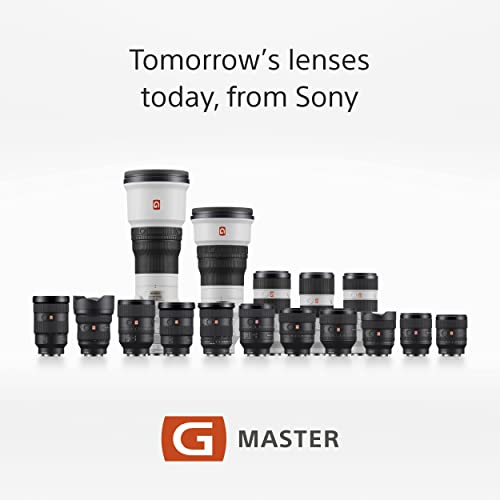 Sony 24-70 F2.8 GMaster Standard, Zoom