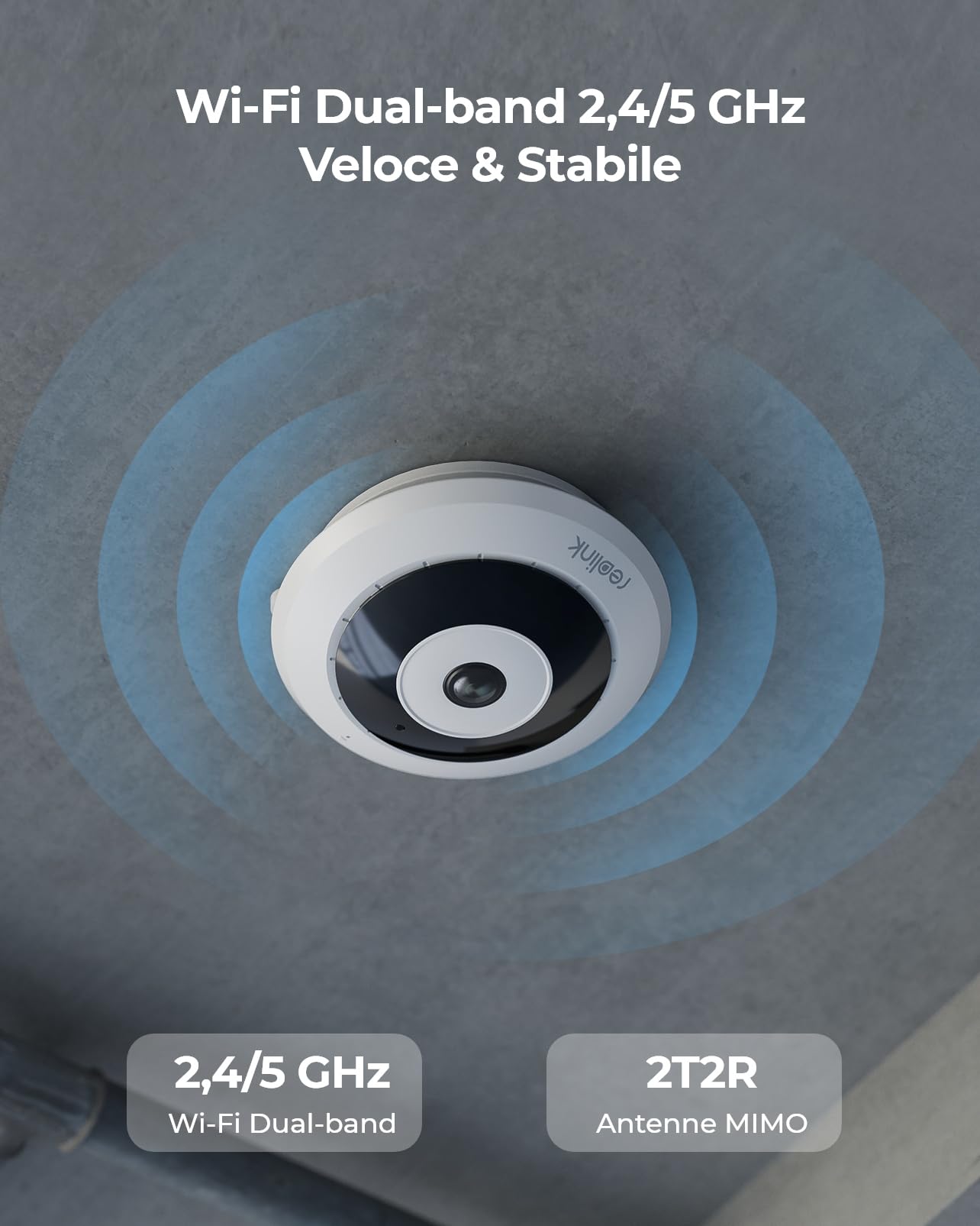 Reolink 2K+ Telecamera WiFi Interno con Panorama a 360°, Telecamera Fisheye Wi-Fi 2.4/5GHz