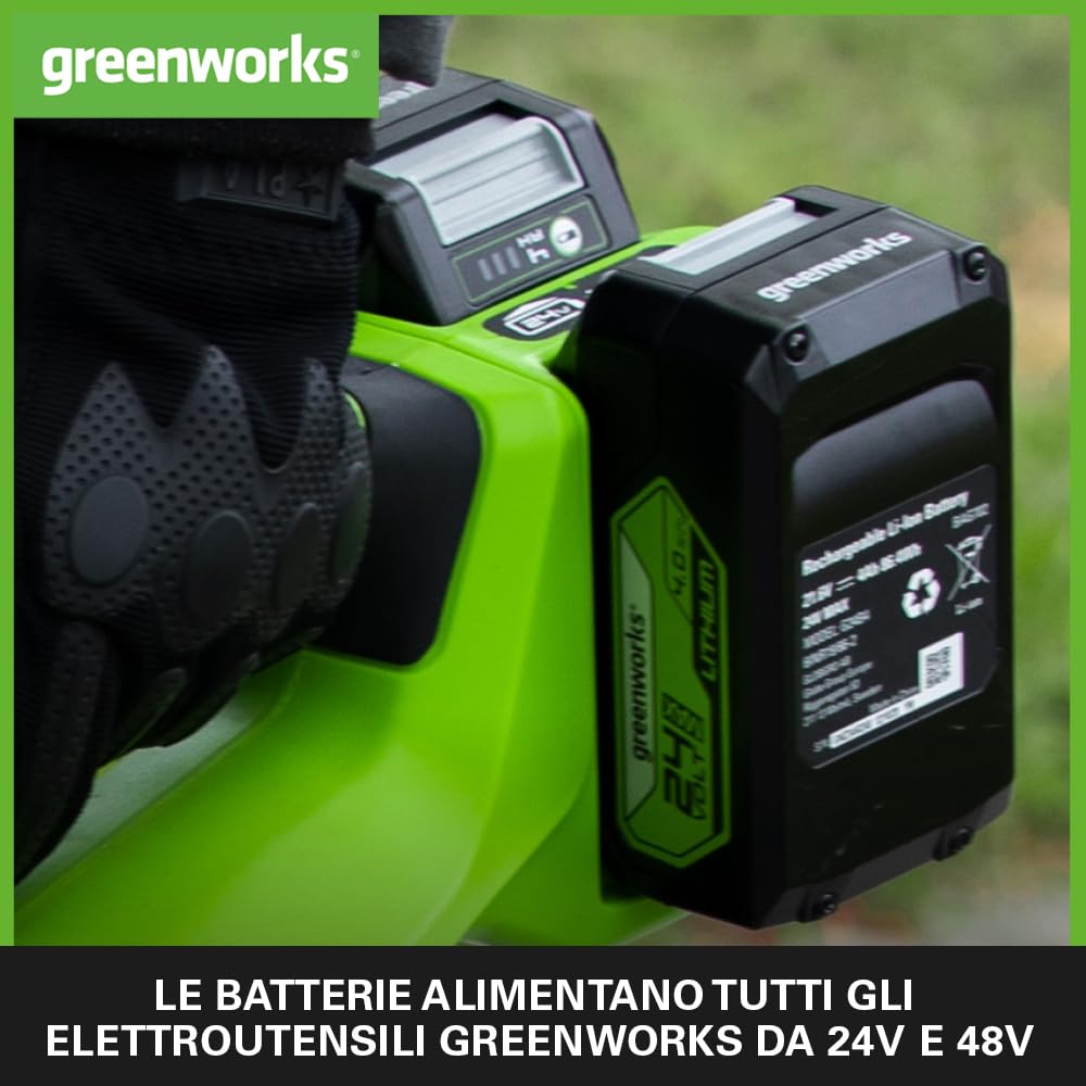 Greenworks Batterie 24V e Caricabatterie Doppio Slot  G24B4 & G24X2C