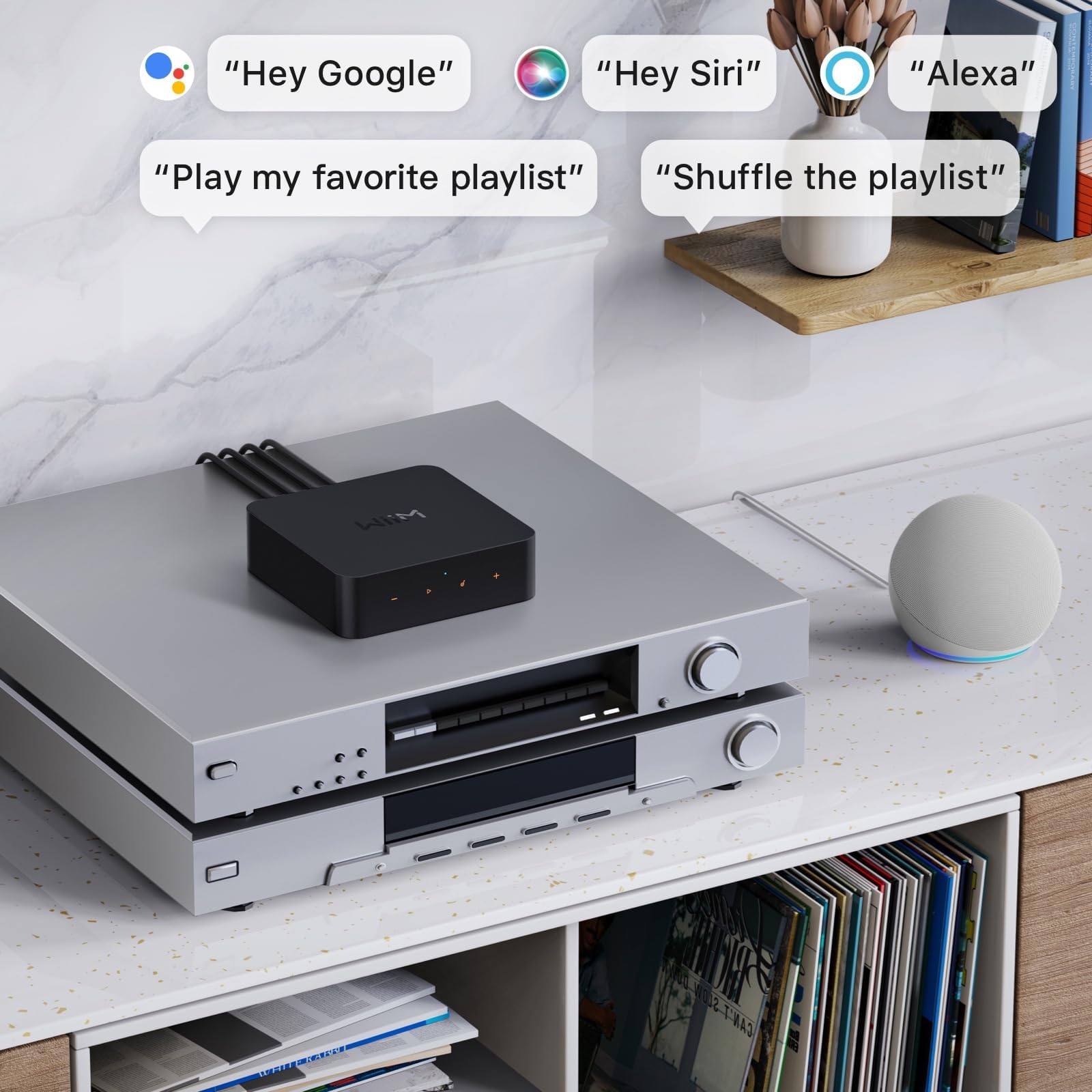 WiiM Pro Plus Ricevitore AirPlay 2, Streamer WiFi, Roon Ready, funziona con Alexa, Siri