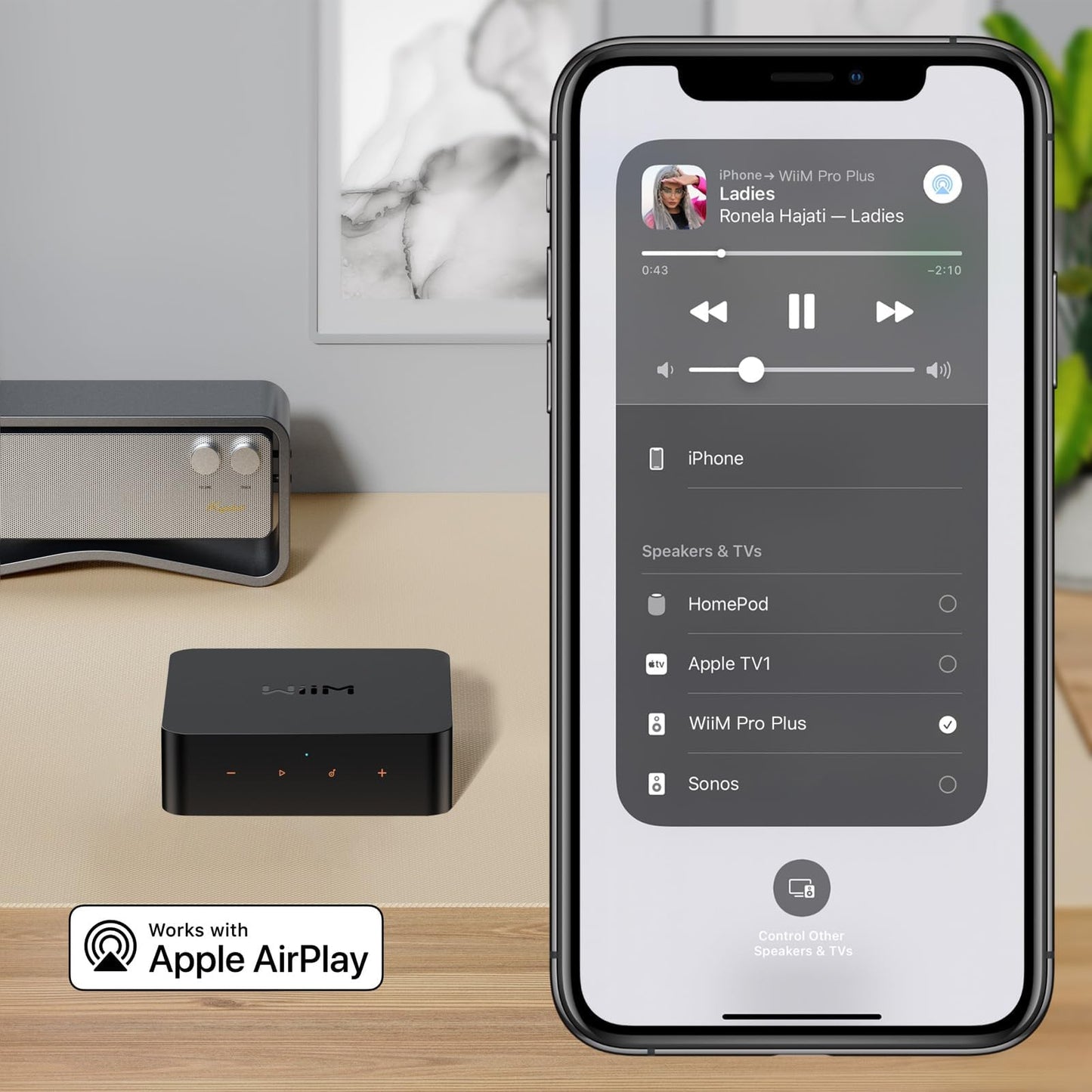 WiiM Pro Plus Ricevitore AirPlay 2, Streamer WiFi, Roon Ready, funziona con Alexa, Siri