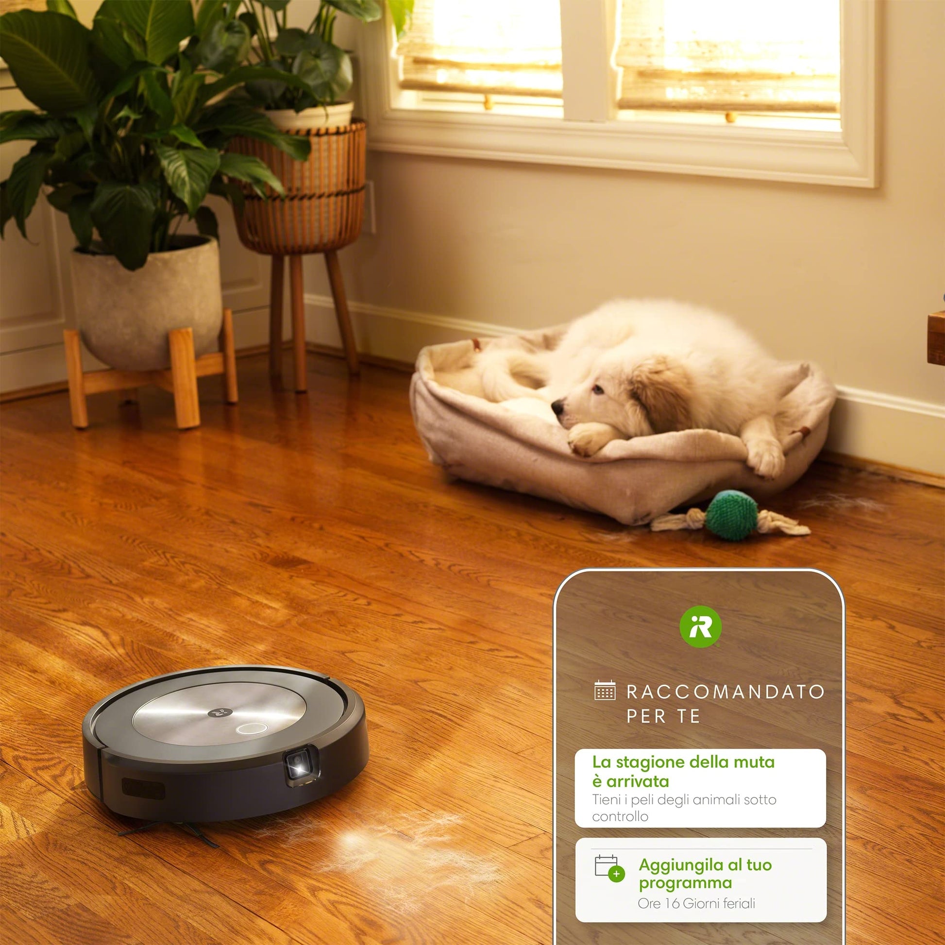 iRobot Roomba J7, Robot Aspirapolvere, Mappatura Intelligente, Rilevamento Ostacoli, Wi-Fi